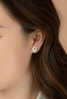 Transformed Starfish  Earrings