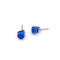 Tagua Studs Sky