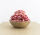 NEU: Set 12 Stück Farbcombi Hibiscus