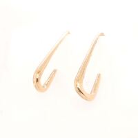 Brass Earring Hook