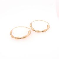 Brass Earring Rori